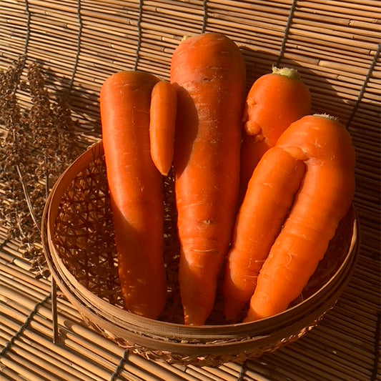 黒田五寸人参 (個性的な人参たち、規格外品、愛嬌たっぷり)