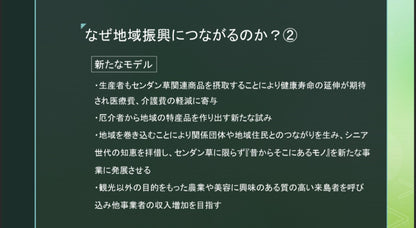 センダン草パウダー