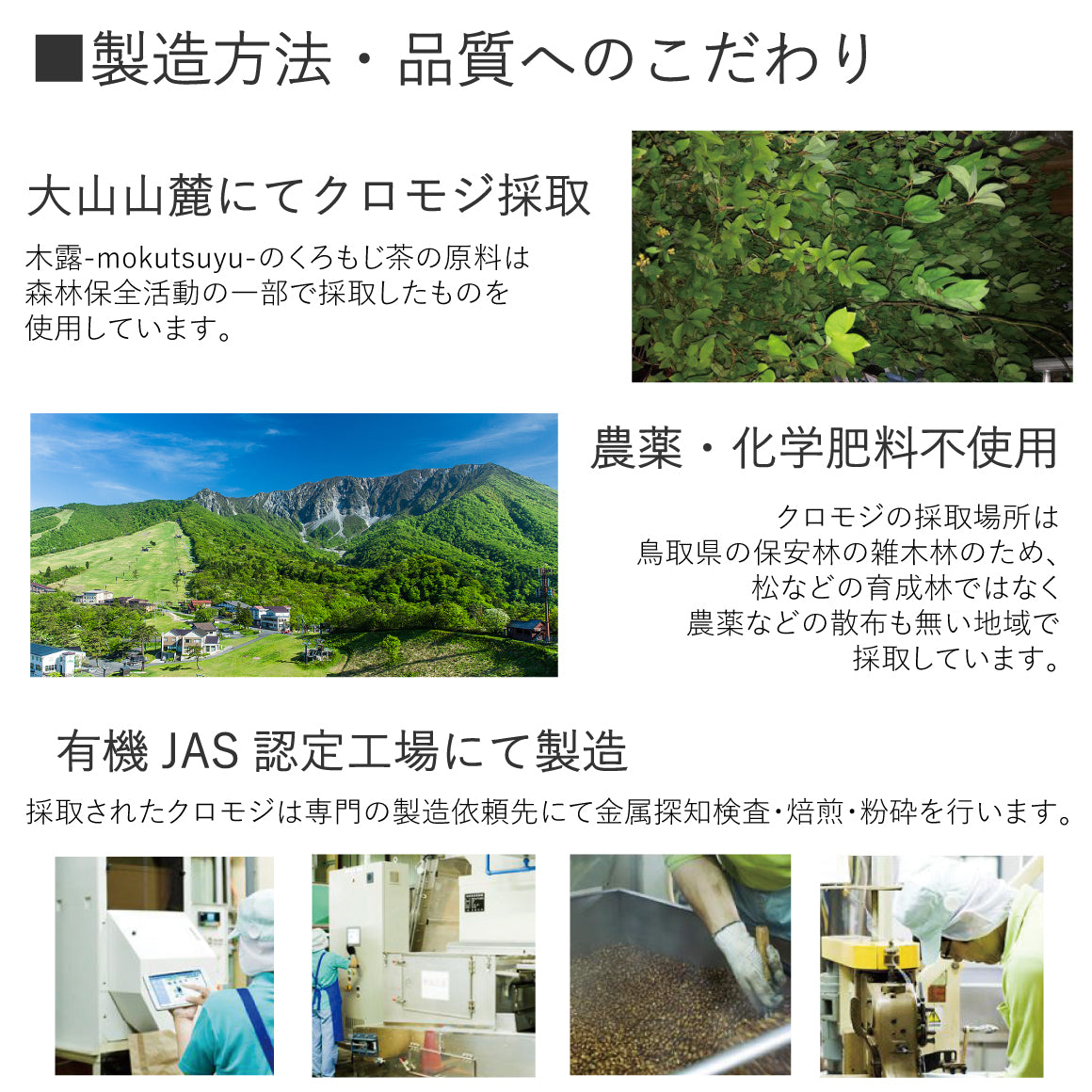 【ヴィーガン認定品】くろもじ茶（YASAI-DO限定 ミニくろもじミスト10ml付き）
