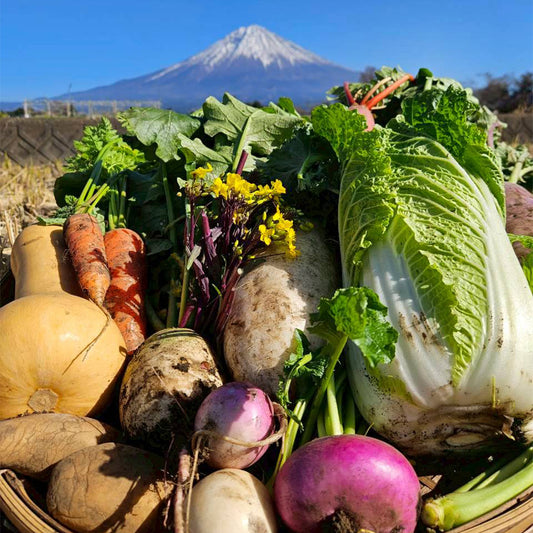 野菜セット(Mサイズ)