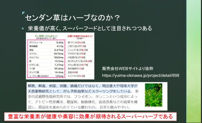 センダン草パウダー