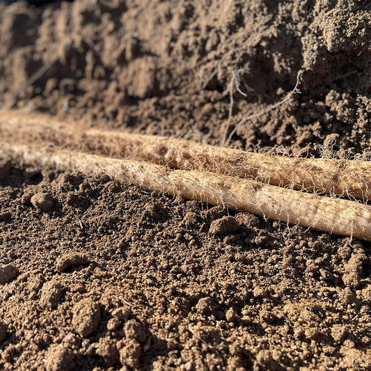 自然薯(カット済)