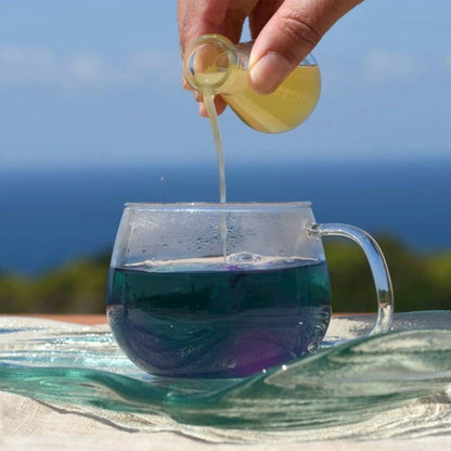 3色楽しめるヤスミティーギフト