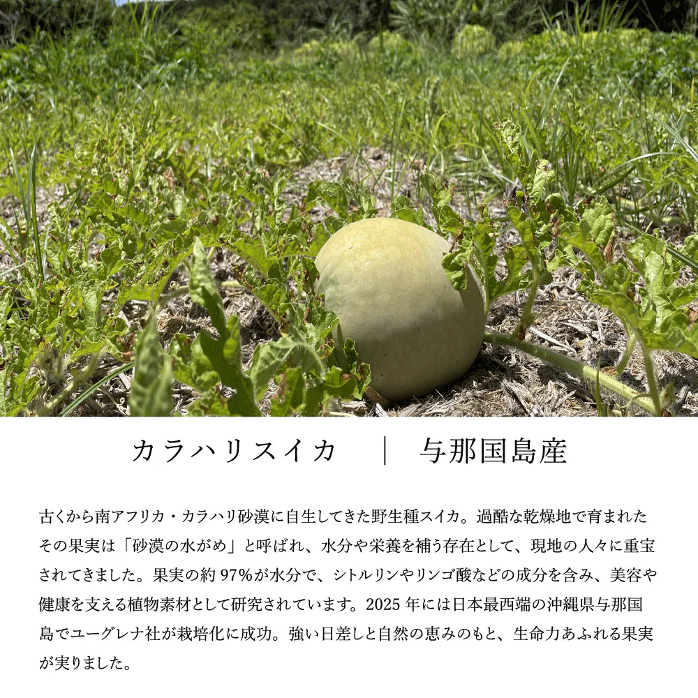 PURE FLOW ピュアフロー 巡り │ カラハリスイカ・大和当帰・生姜・柚子 │ 植物サプリメント