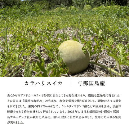 PURE FLOW ピュアフロー 巡り │ カラハリスイカ・大和当帰・生姜・柚子 │ 植物サプリメント