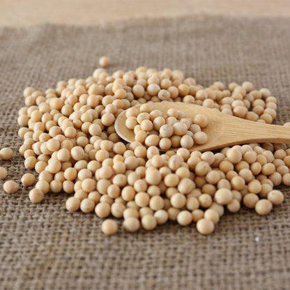 [冬季限定]大豆でできたソイケーキ　高カカオ