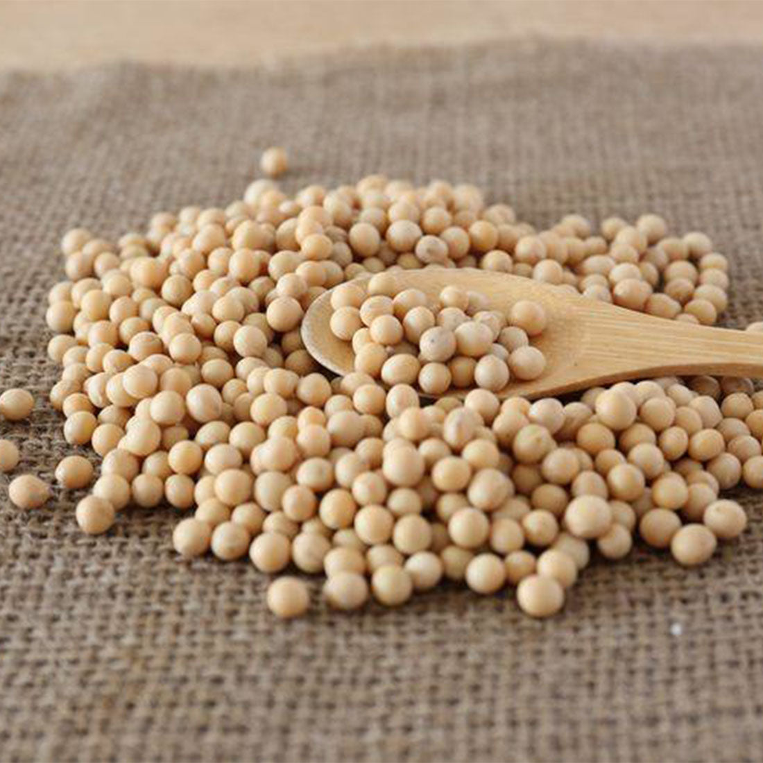 大豆でできたソイケーキ　デーツとココア