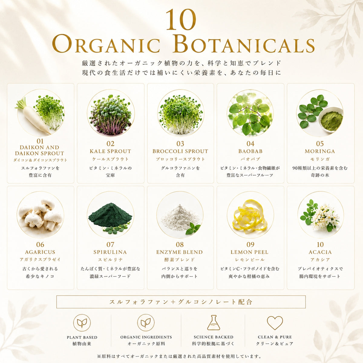 Sulfo-Daikon スルフォダイコン