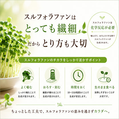 Sulfo-Daikon スルフォダイコン