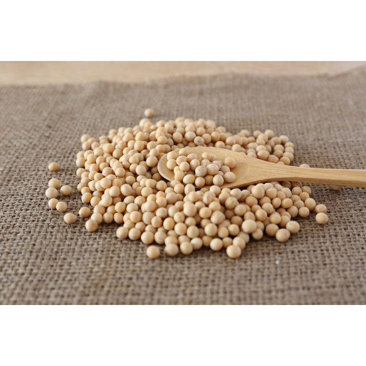 大豆でできたソイケーキ　抹茶