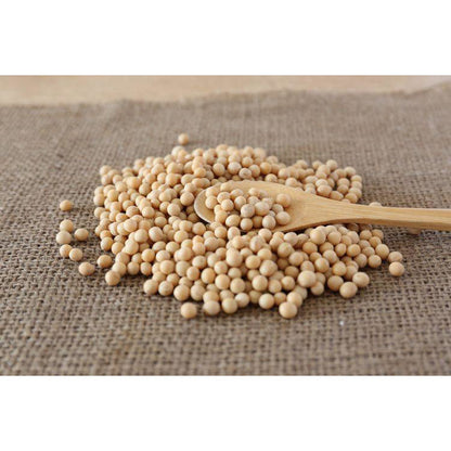 大豆でできたソイケーキ　抹茶