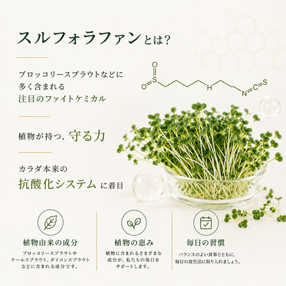 Sulfo-Daikon スルフォダイコン