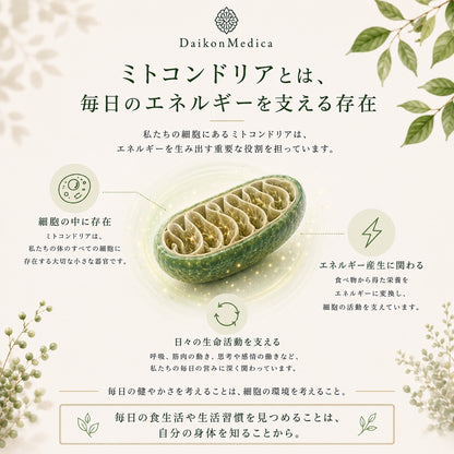 Sulfo-Daikon スルフォダイコン