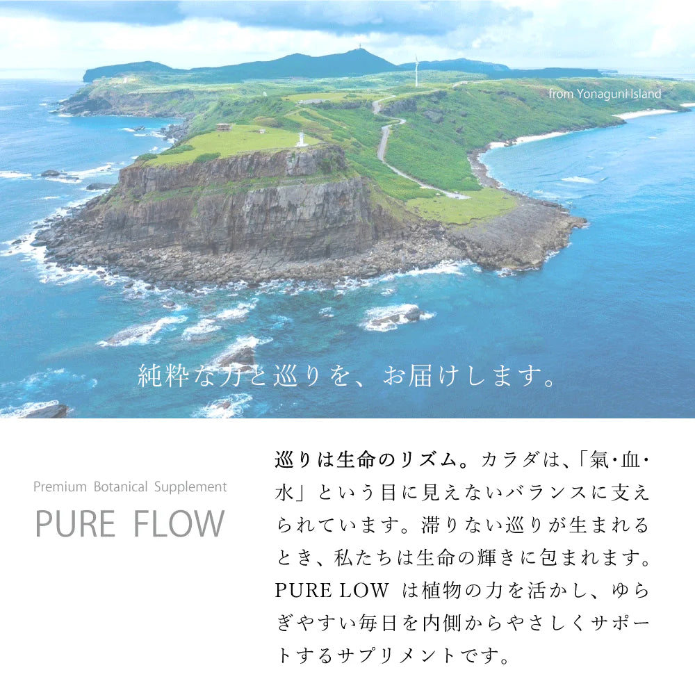 PURE FLOW ピュアフロー 巡り │ カラハリスイカ・大和当帰・生姜・柚子 │ 植物サプリメント