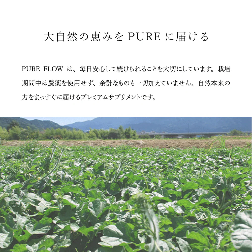 PURE FLOW ピュアフロー 巡り │ カラハリスイカ・大和当帰・生姜・柚子 │ 植物サプリメント