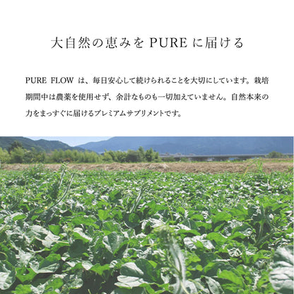 PURE FLOW ピュアフロー 巡り │ カラハリスイカ・大和当帰・生姜・柚子 │ 植物サプリメント