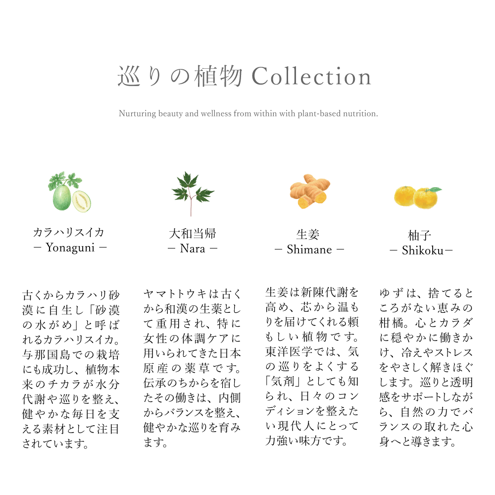 PURE FLOW ピュアフロー 巡り │ カラハリスイカ・大和当帰・生姜・柚子 │ 植物サプリメント