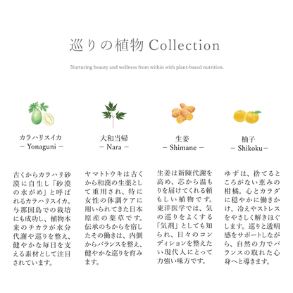 PURE FLOW ピュアフロー 巡り │ カラハリスイカ・大和当帰・生姜・柚子 │ 植物サプリメント