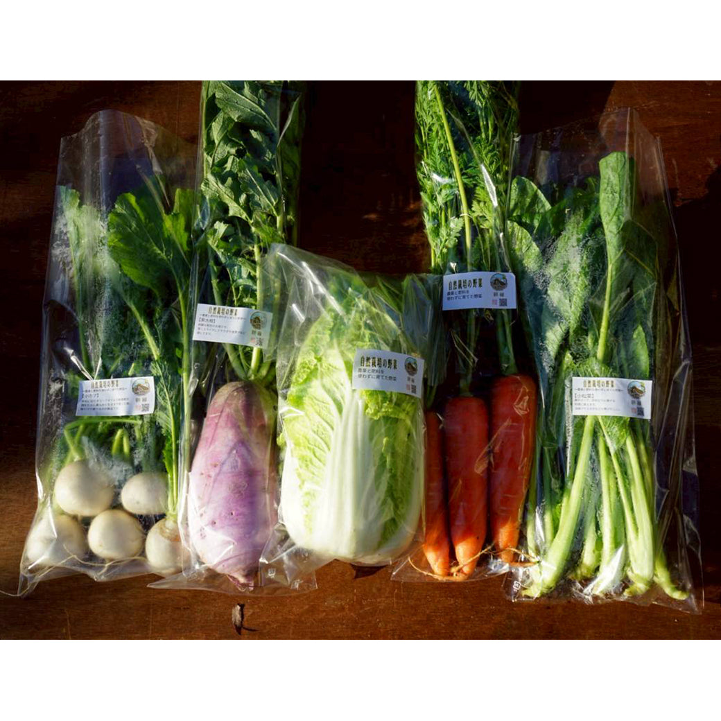 野菜セット(Mサイズ)