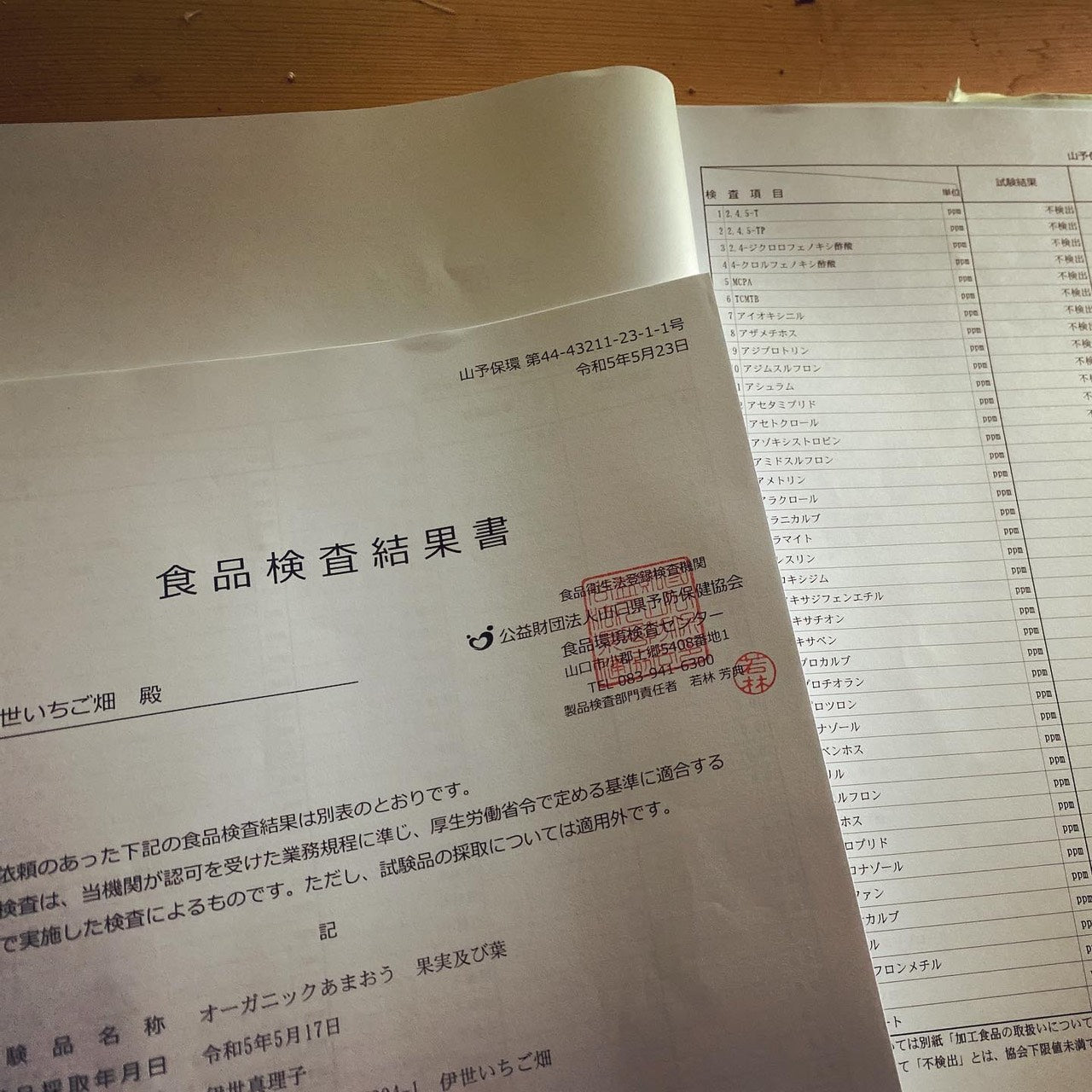 ISEICHIGO オーガニックあまおう 規格 軽いキズ奇形(B級)を含む 福岡県産有機あまおう
