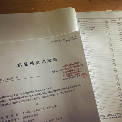 ISEICHIGO オーガニックあまおう 規格 軽いキズ奇形(B級)を含む 福岡県産有機あまおう