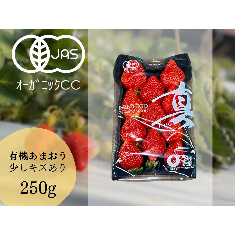 YASAI-DO｜マーク・パンサー厳選の無農薬野菜・健康食品通販