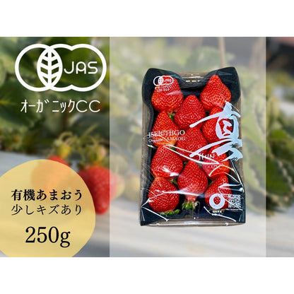 ISEICHIGO オーガニックあまおう 規格 軽いキズ奇形(B級)を含む 福岡県産有機あまおう