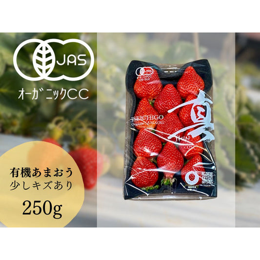 ISEICHIGO オーガニックあまおう 規格 軽いキズ奇形(B級)を含む 福岡県産有機あまおう
