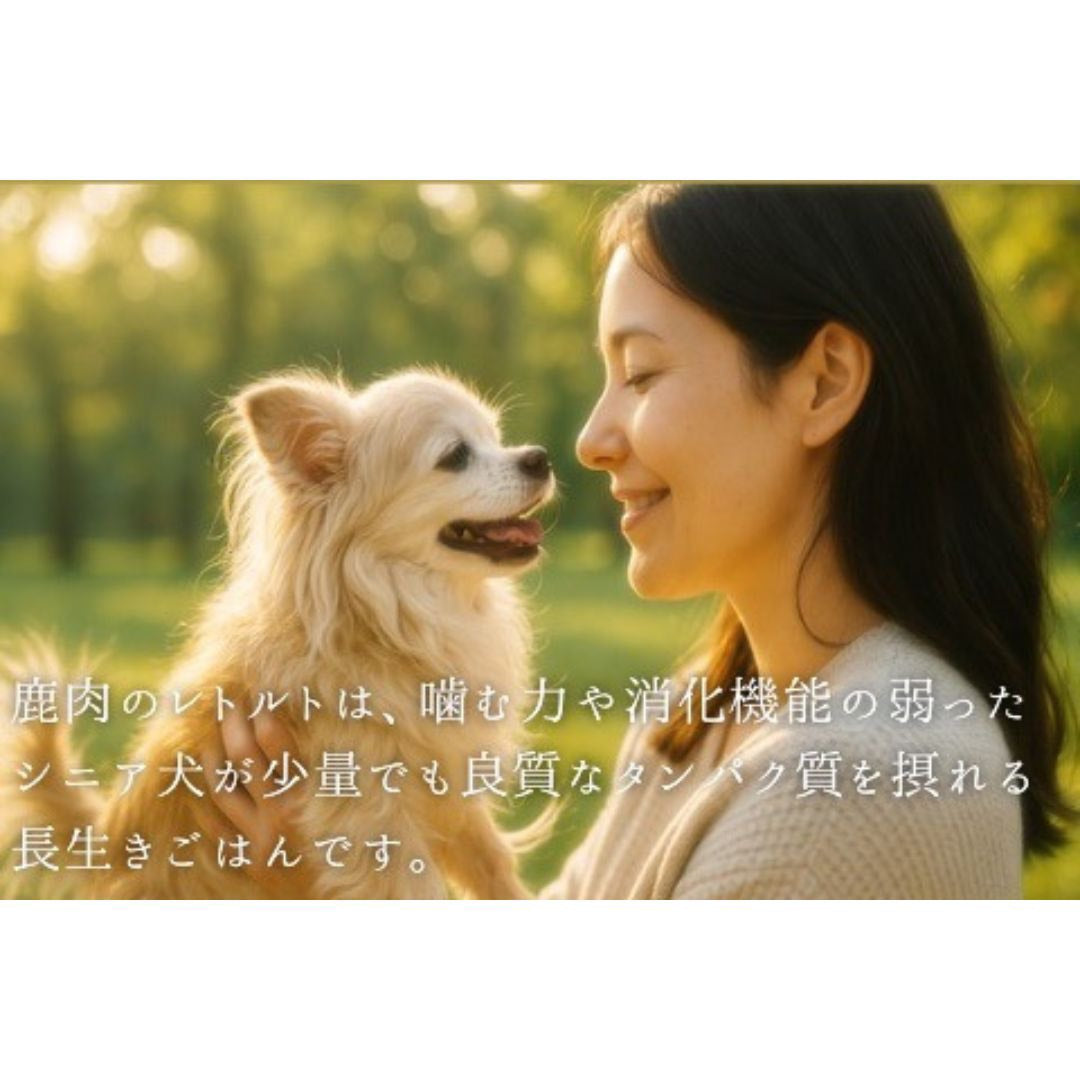 鹿ミートボールトライプソース