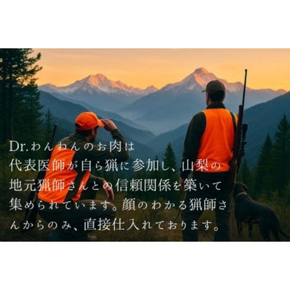 鹿ミートボールトライプソース