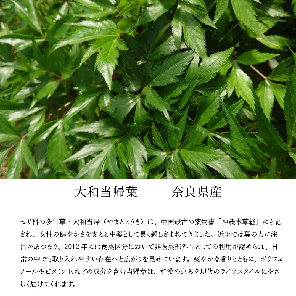 PURE FLOW ピュアフロー 巡り │ カラハリスイカ・大和当帰・生姜・柚子 │ 植物サプリメント